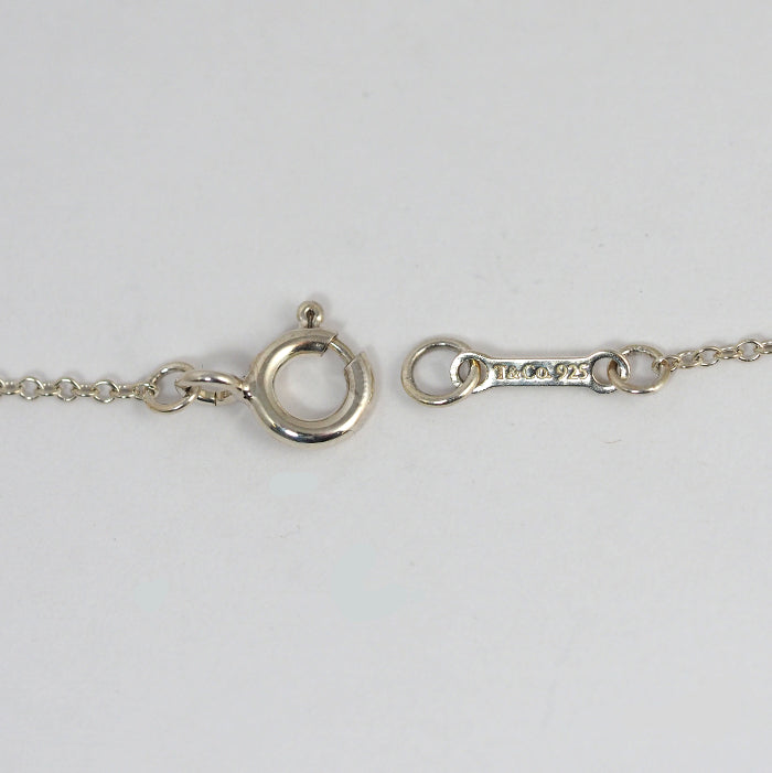 Tiffany & Co. Tiffany SV925 Silver Hammered Circle Necklace with Case